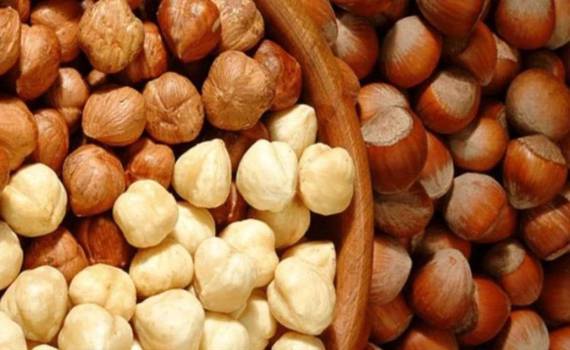 Худший урожай фундука: Европа в преддверии рождественского дефицита - agroexpert.md