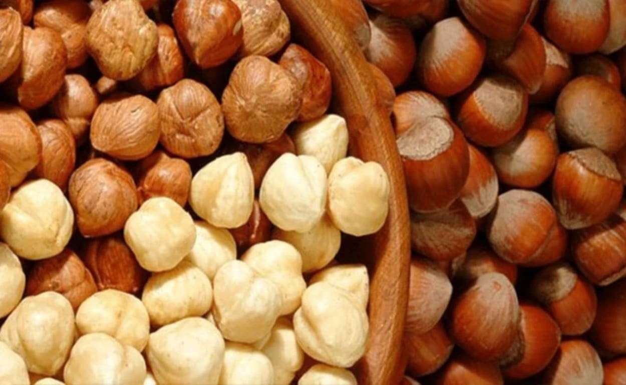 Худший урожай фундука: Европа в преддверии рождественского дефицита - agroexpert.md