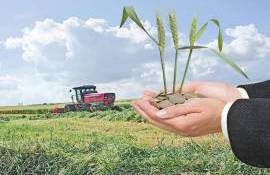 Riscul agricol nu mai este individual, ci sistemic. Soluția – un fond mutual național