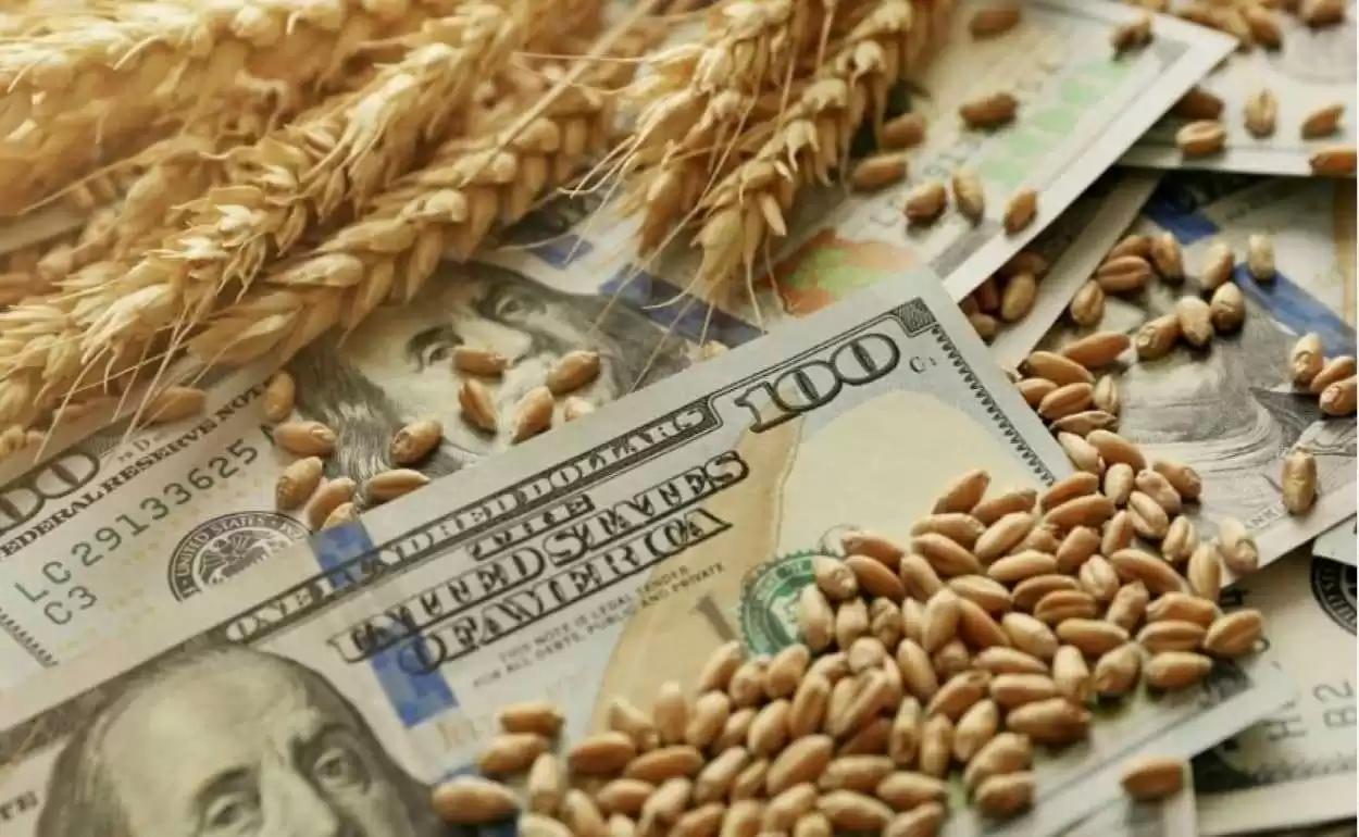 Мировой рынок: смешанные колебания цен пшеницы перед отчётом USDA - agroexpert.md