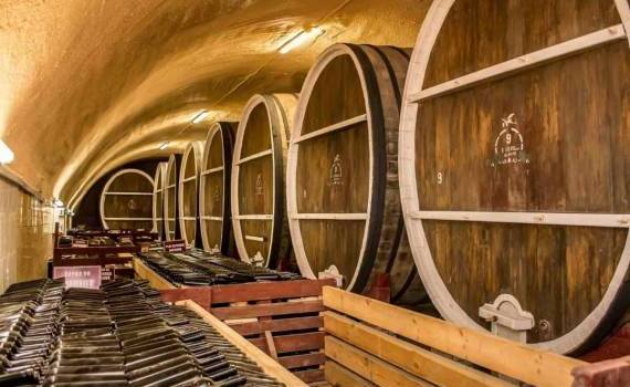 OIV прогнозирует рост производства вина в Молдове на 18% в 2025 году - agroexpert.md