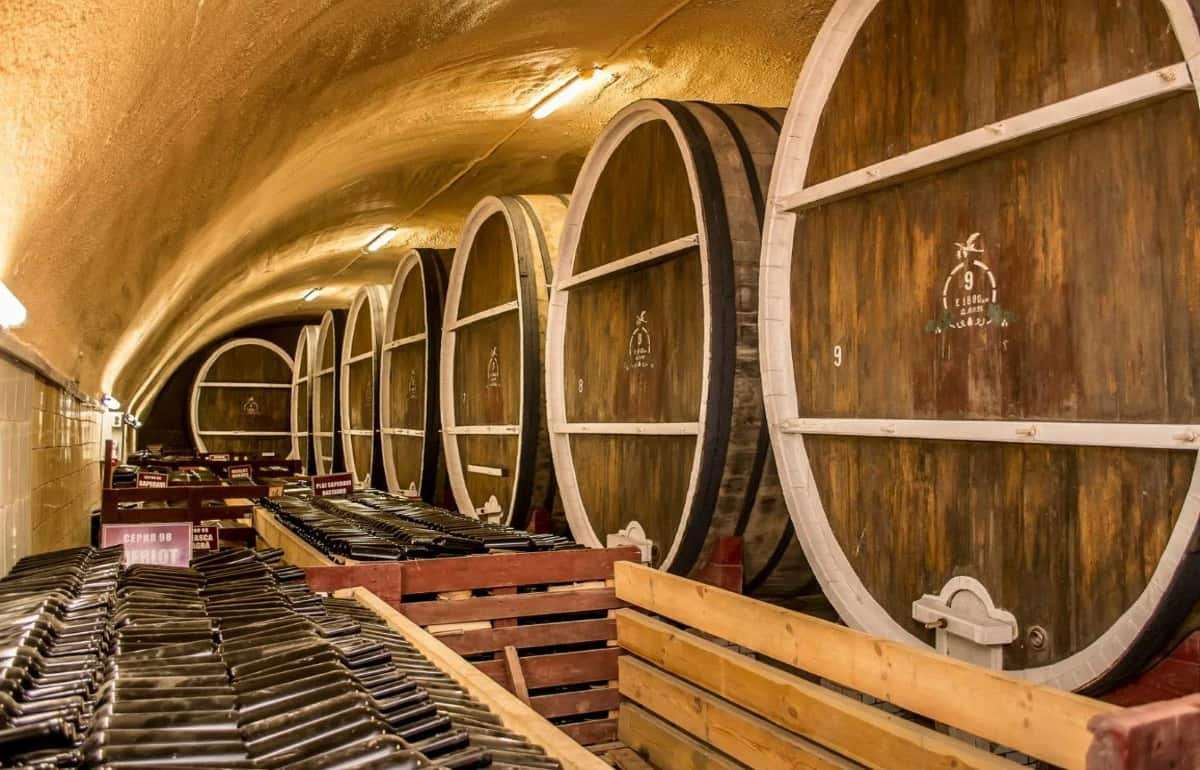 OIV прогнозирует рост производства вина в Молдове на 18% в 2025 году - agroexpert.md