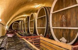 OIV прогнозирует рост производства вина в Молдове на 18% в 2025 году - agroexpert.md