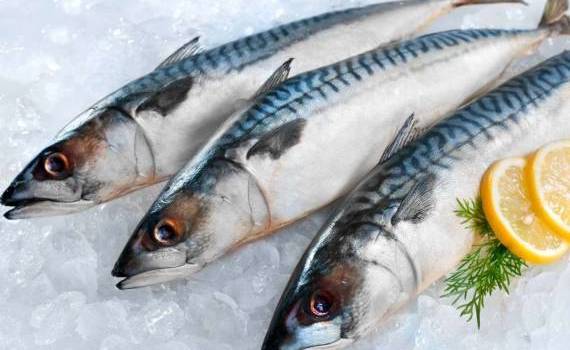 scumpirea macroului - agroexpert.md