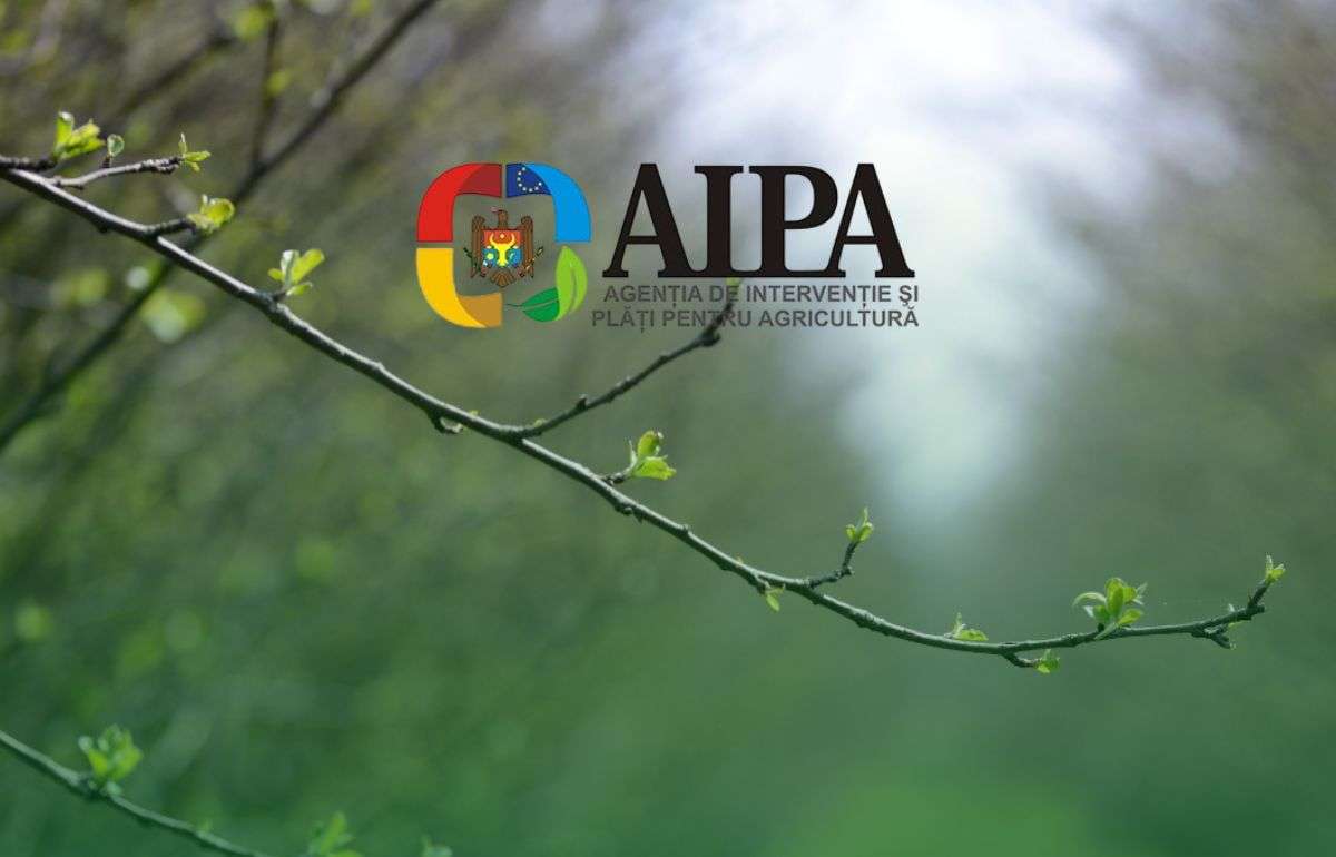AIPA начала первые выплаты фермерам пострадавшим от весенних заморозков - agroexpert.md