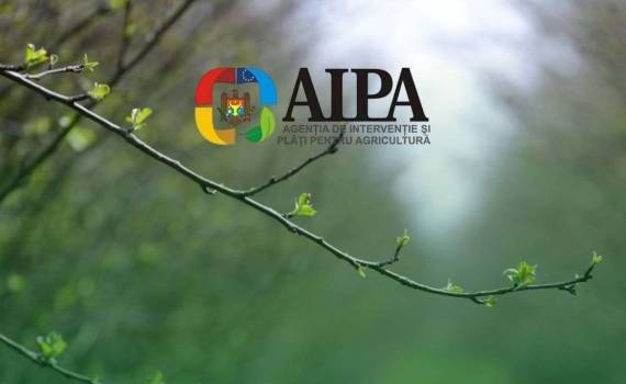 AIPA начала первые выплаты фермерам пострадавшим от весенних заморозков - agroexpert.md