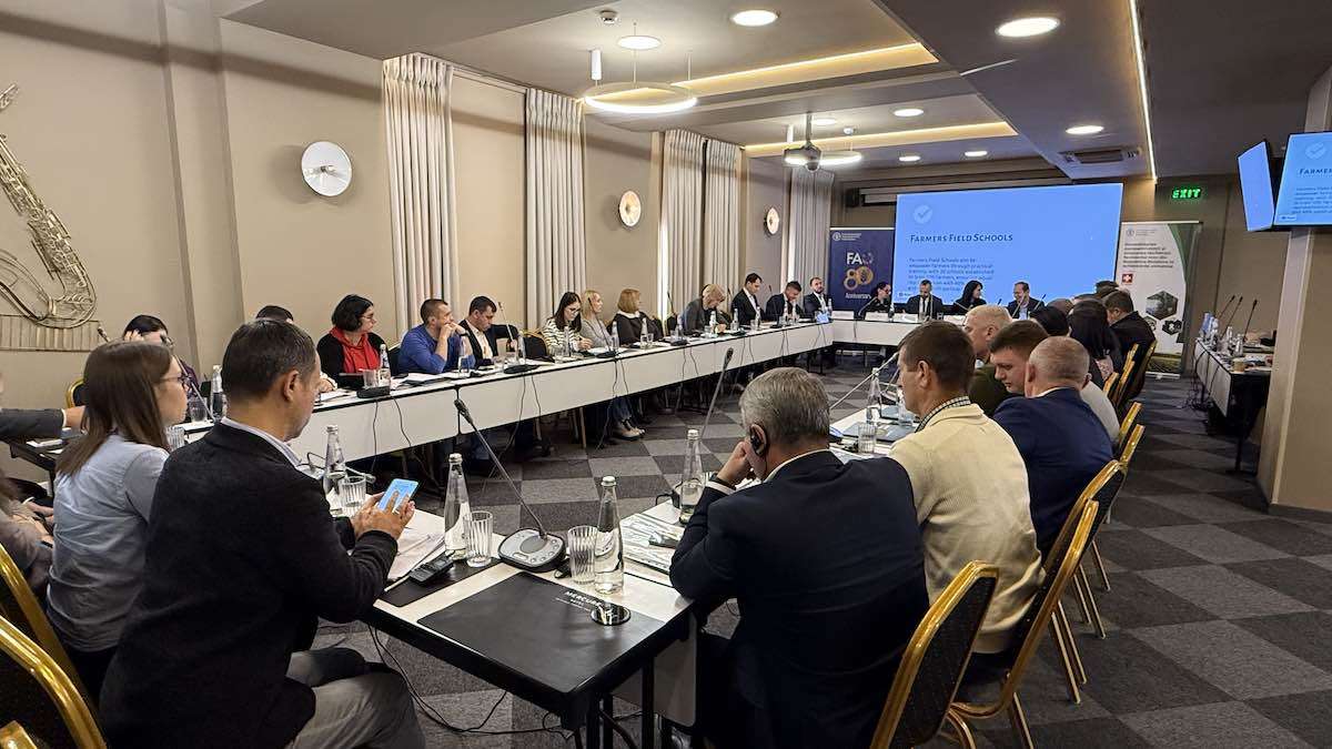 gricultori mici și mijlocii vor deveni mai competitivi și rezilienți - agroexpert.md