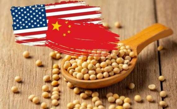Китай тормозит закупки американской сои — перемирие под вопросом - agroexpert.md