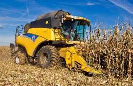 Этот год один из худших по темпам уборки зерновых и масличных в Украине - agroexpert.md