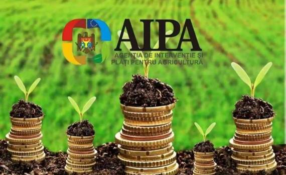 Какие районы Молдовы лидируют по запросам аграрных субсидий? - agroexpert.md