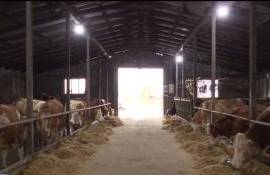 Как субсидии и европейский опыт помогли создать современную ферму - agroexpert.md