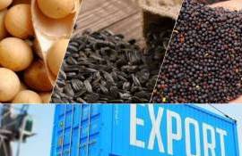 Экспорт масличных культур из Молдовы в октябре 2025 года: структура, цены 