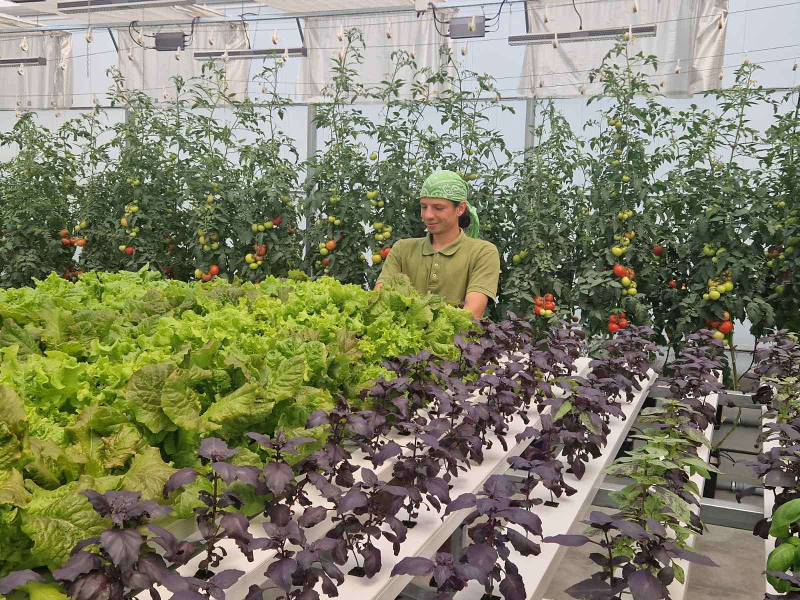 Tot mai mulți tineri aleg profesiile agricole - agroexpert.md