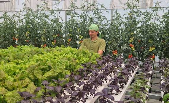 Tot mai mulți tineri aleg profesiile agricole - agroexpert.md