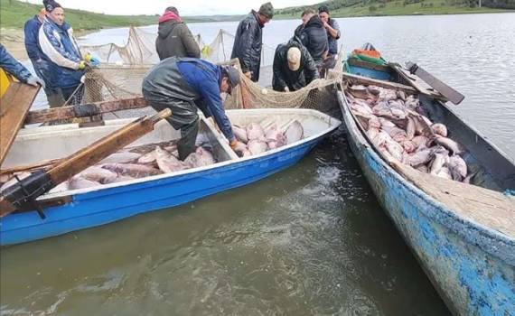 Молдова модернизирует аквакультуру: новые законы и стратегия развития - agroexpert.md