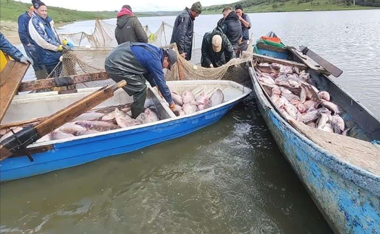 Молдова модернизирует аквакультуру: новые законы и стратегия развития - agroexpert.md