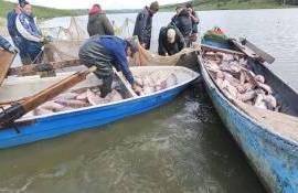 Молдова модернизирует аквакультуру: новые законы и стратегия развития - agroexpert.md