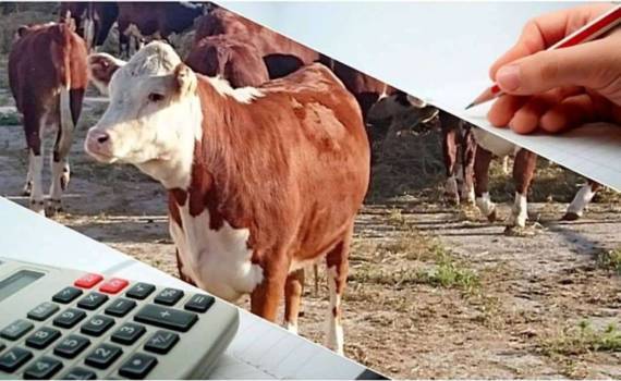 AGGRI: стартовал IV конкурс грантов для животноводов - agroexpert.md