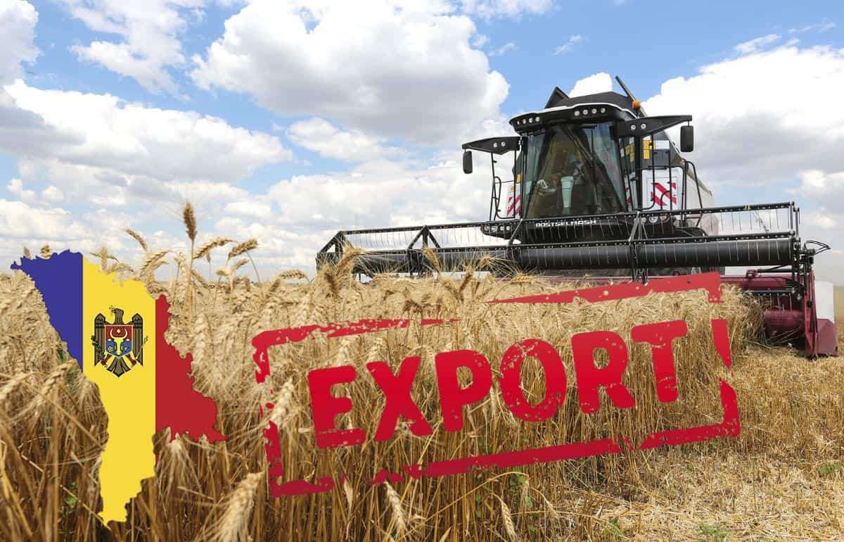 Экспорт молдавского зерна в октябре 2025: диверсификация рынков - agroexpert.md