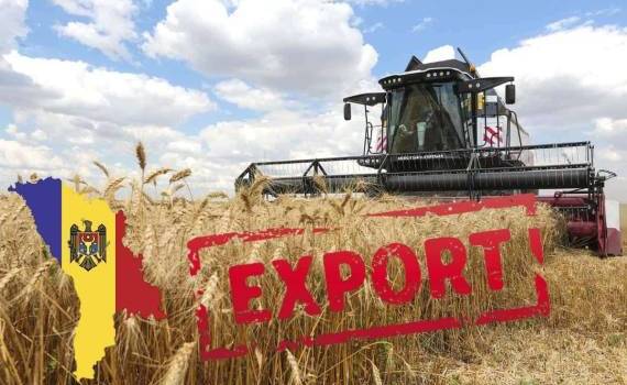 Экспорт молдавского зерна в октябре 2025: диверсификация рынков - agroexpert.md