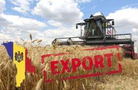 Экспорт молдавского зерна в октябре 2025: диверсификация рынков