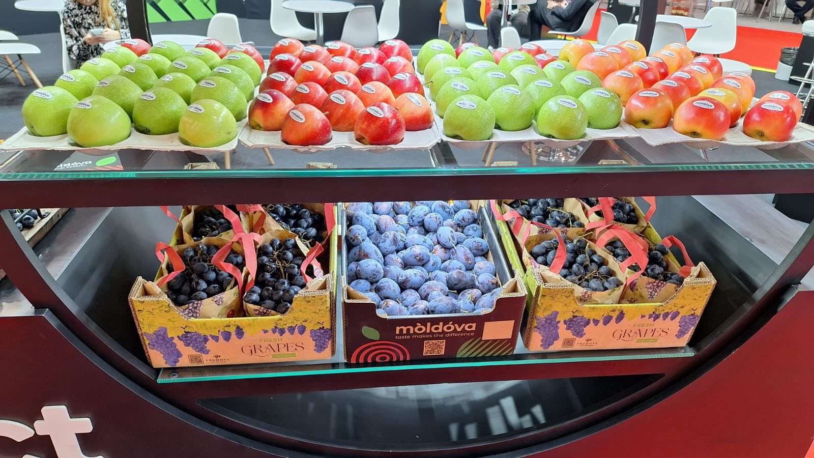 onferința dedicată pomiculturii în Moldova - AGROEXPERT.MD