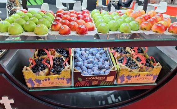 onferința dedicată pomiculturii în Moldova - AGROEXPERT.MD