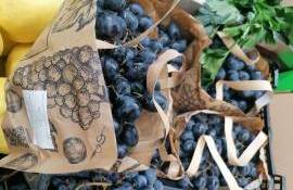 Agroexpert: Circa 70% din producția de struguri de masă este destinată exportului - agroexpert.md