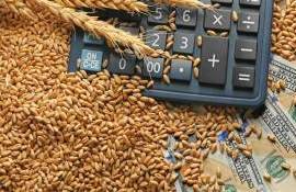 Саудовская Аравия закупила партию пшеницы по рекордно низким ценам - agroexpert.md