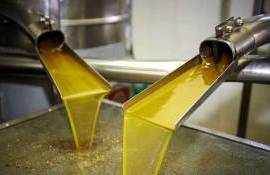 Подсолнечник с повышенной кислотностью идет в переработку в Украине - agroexpert.md