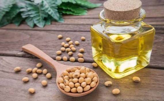 Мировые показатели спроса на соевое масло обновили рекорд - agroexpert.md