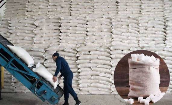 Глобальный рынок сахара: профицит и влияние на цены, торговлю и Украину - agroexpert.md