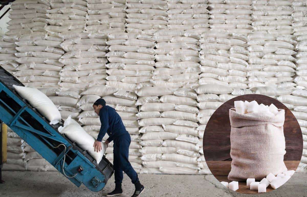 Глобальный рынок сахара: профицит и влияние на цены, торговлю и Украину - agroexpert.md