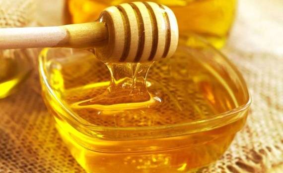 Прогноз производства мёда в Молдове снижен - agroexpert.md