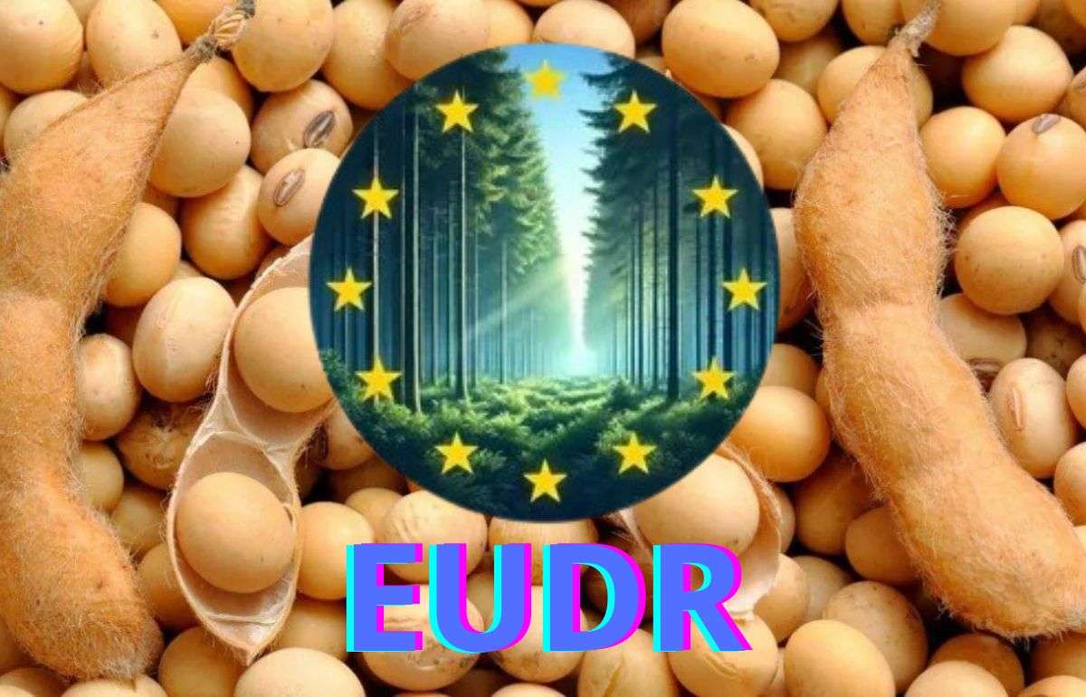 Регламент ЕС о вырубке лесов отсрочен до 30 декабря 2026 года - agroexpert.md