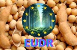 Регламент ЕС о вырубке лесов отсрочен до 30 декабря 2026 года - agroexpert.md