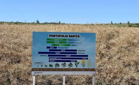 Fermieri campioni la rapiță - agroexpert.md