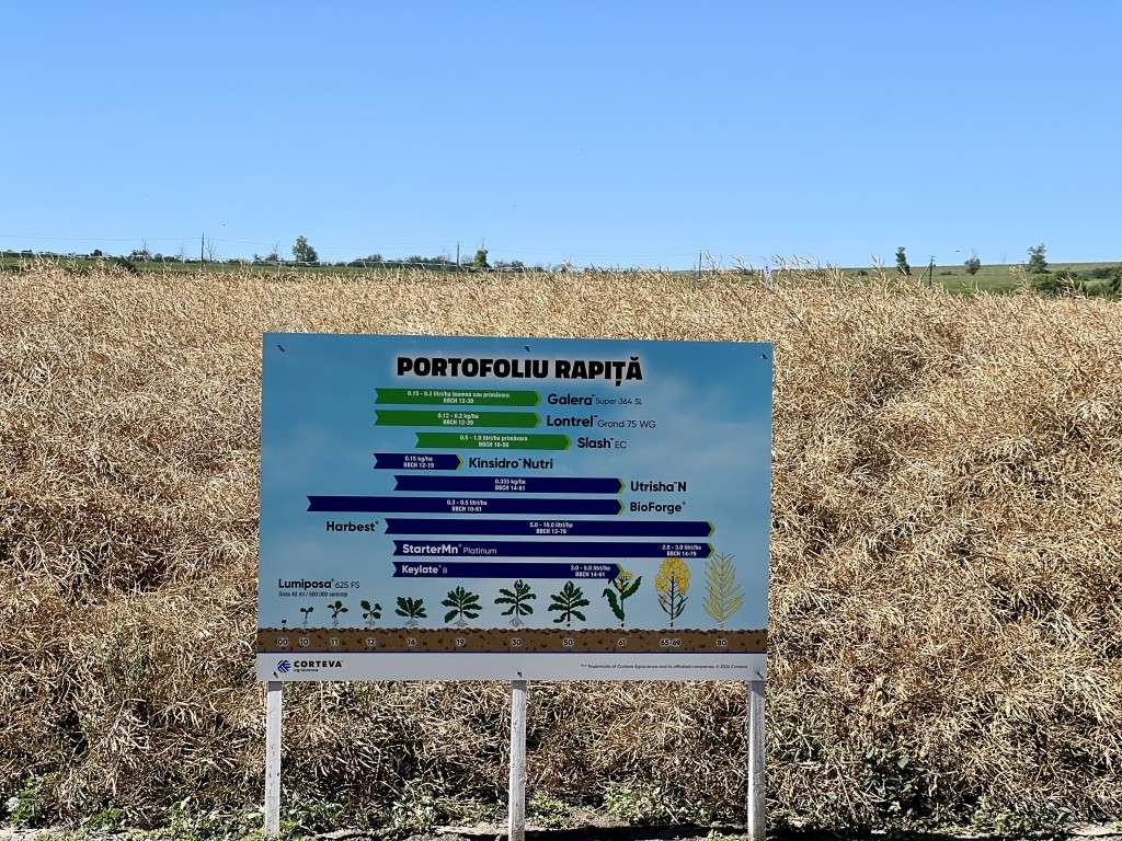 Fermieri campioni la rapiță - agroexpert.md