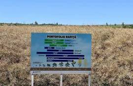 Fermieri campioni la rapiță - agroexpert.md