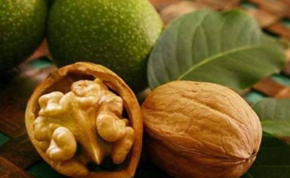 Французские орехи из Криулян: история успеха бывшего военного - agroexpert.md