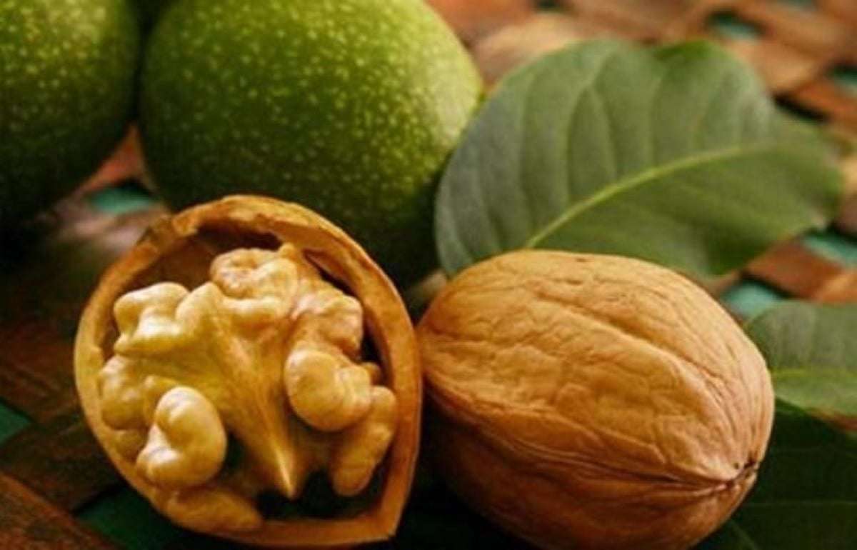 Французские орехи из Криулян: история успеха бывшего военного - agroexpert.md