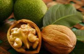 Французские орехи из Криулян: история успеха бывшего военного - agroexpert.md