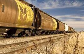 Traderii abandonează transportul feroviar în plin sezon de export