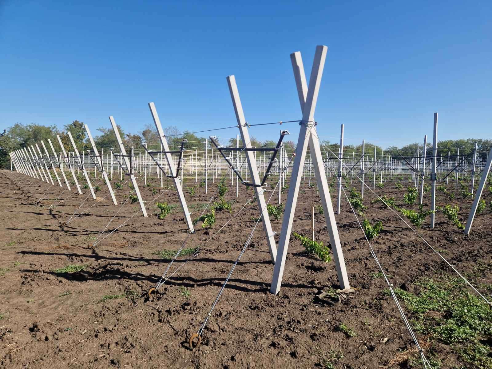 UTM Modernizarea Stațiunii didactice experimentale din Criuleni - AGROEXPERT.MD