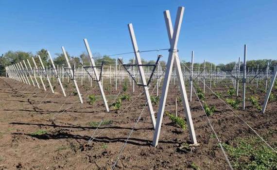 UTM Modernizarea Stațiunii didactice experimentale din Criuleni - AGROEXPERT.MD