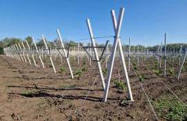 UTM Modernizarea Stațiunii didactice experimentale din Criuleni - AGROEXPERT.MD