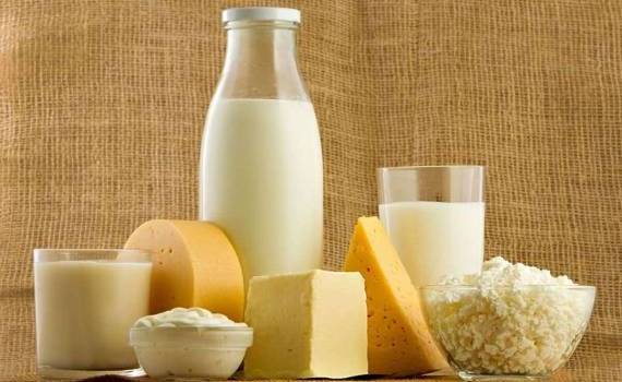 Производство молока в ЕС стабильно растёт уже более 10 лет - agroexpert.md