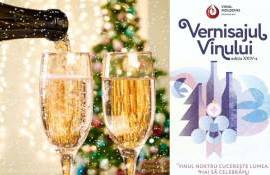 Вернисаж вин: дегустация лучших молдавских вин 2025 года - agroexpert.md