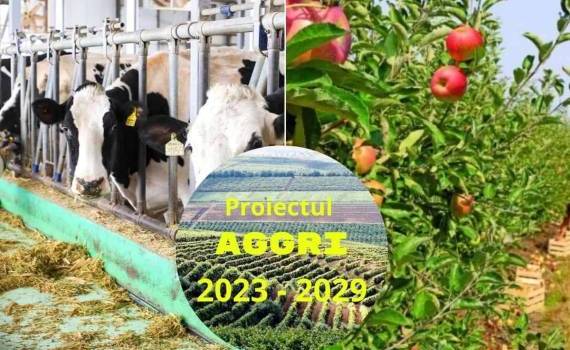 Проект AGGRI открывает новые перспективы для молдавского агросектора - agroexpert.md