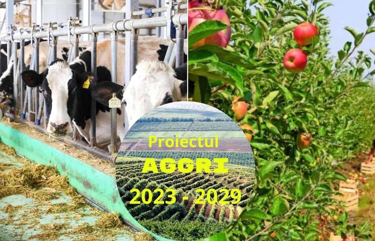 Проект AGGRI открывает новые перспективы для молдавского агросектора - agroexpert.md